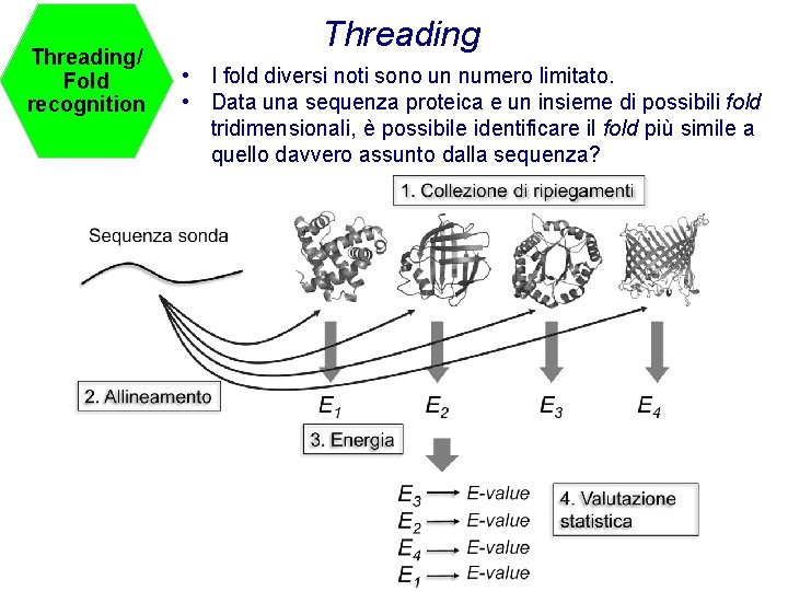 obiettivi intermedi e meno ambiziosi Threading/ Fold recognition Threading • I fold diversi noti