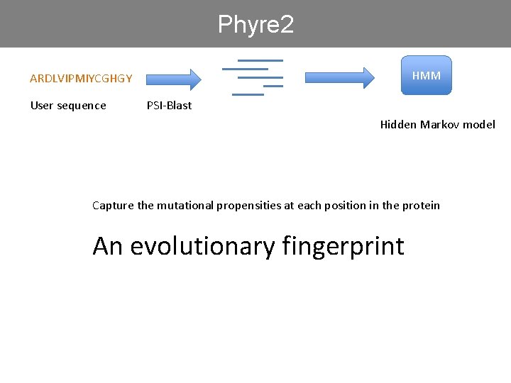 Phyre 2 HMM ARDLVIPMIYCGHGY User sequence PSI-Blast Hidden Markov model Capture the mutational propensities