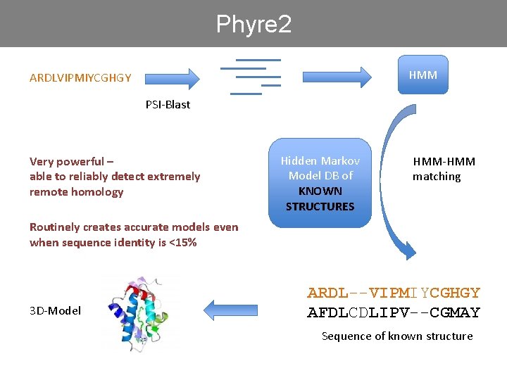 Phyre 2 HMM ARDLVIPMIYCGHGY PSI-Blast Very powerful – able to reliably detect extremely remote