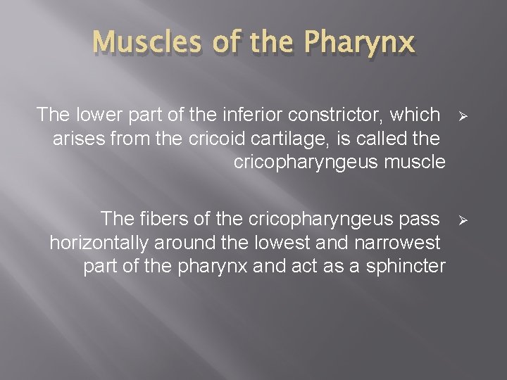 Muscles of the Pharynx The lower part of the inferior constrictor, which arises from