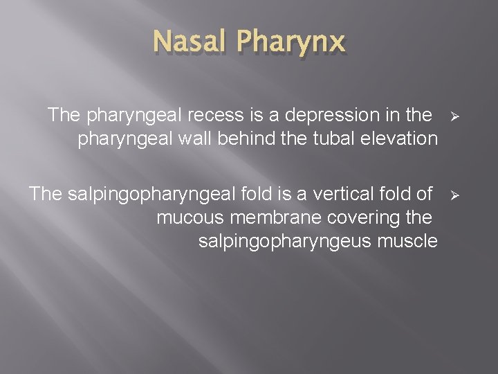 Nasal Pharynx The pharyngeal recess is a depression in the pharyngeal wall behind the