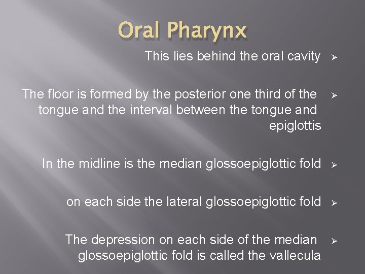 Oral Pharynx This lies behind the oral cavity Ø The floor is formed by