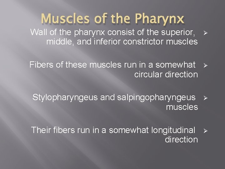 Muscles of the Pharynx Wall of the pharynx consist of the superior, middle, and