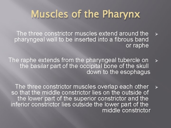 Muscles of the Pharynx The three constrictor muscles extend around the pharyngeal wall to