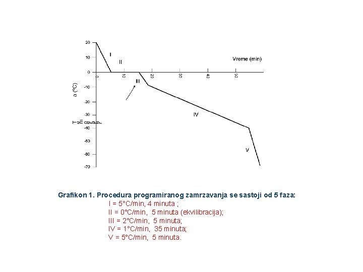 Grafikon 1. Procedura programiranog zamrzavanja se sastoji od 5 faza: I = 5°C/min, 4