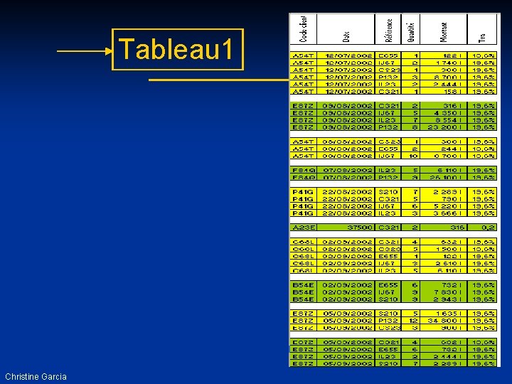 Tableau 1 Christine Garcia 