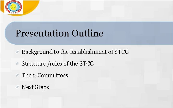 Presentation Outline Background to the Establishment of STCC Structure /roles of the STCC The