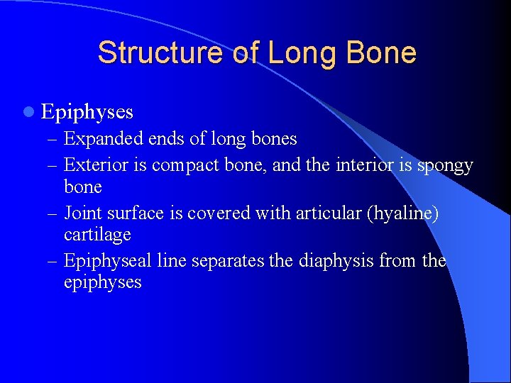 Structure of Long Bone l Epiphyses – Expanded ends of long bones – Exterior