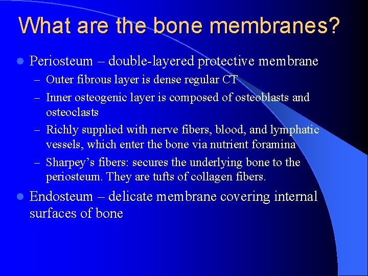 What are the bone membranes? l Periosteum – double-layered protective membrane – Outer fibrous