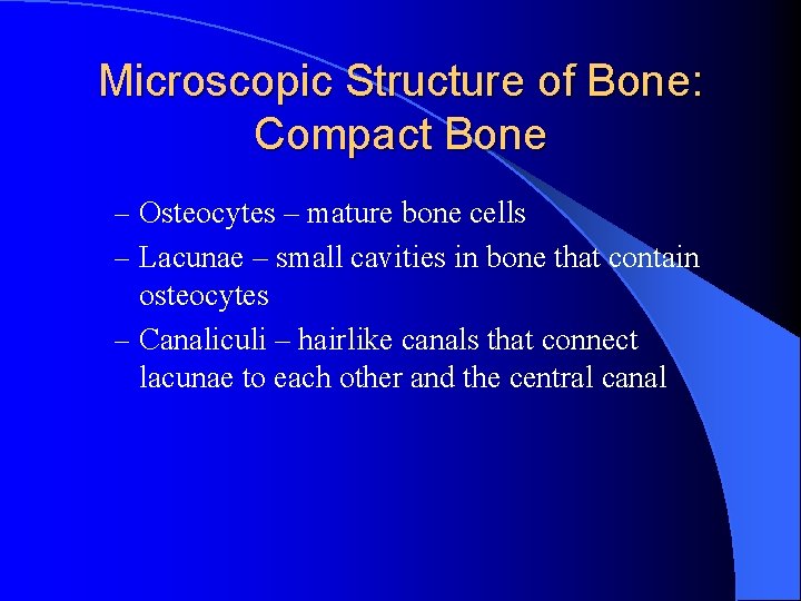 Microscopic Structure of Bone: Compact Bone – Osteocytes – mature bone cells – Lacunae