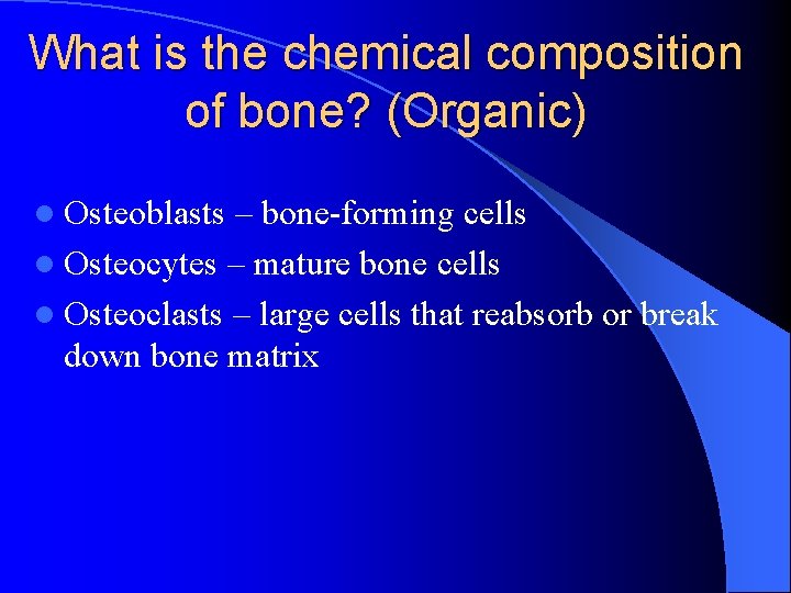 What is the chemical composition of bone? (Organic) l Osteoblasts – bone-forming cells l