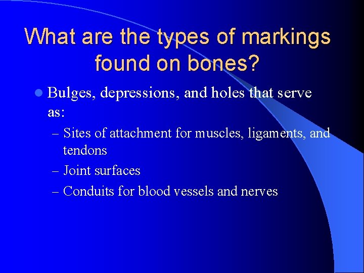 What are the types of markings found on bones? l Bulges, depressions, and holes