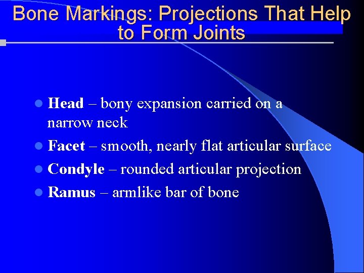 Bone Markings: Projections That Help to Form Joints l Head – bony expansion carried