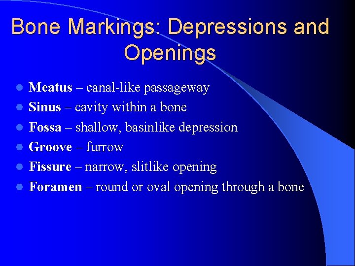 Bone Markings: Depressions and Openings l l l Meatus – canal-like passageway Sinus –