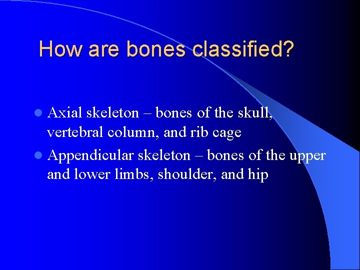 How are bones classified? l Axial skeleton – bones of the skull, vertebral column,