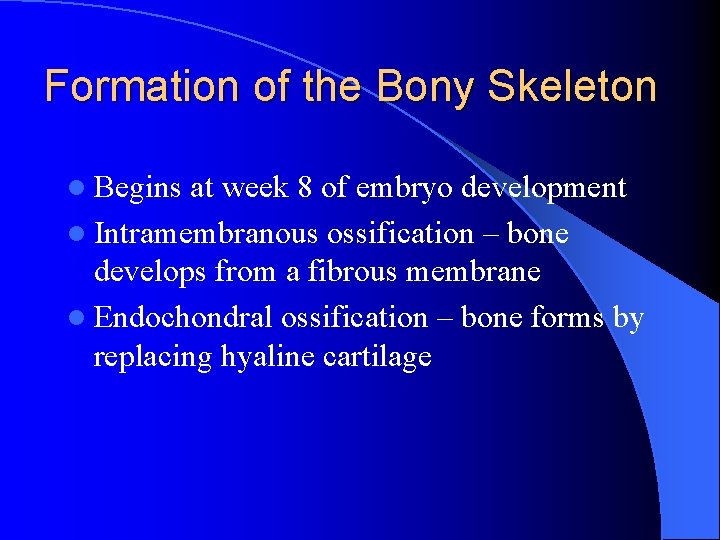 Formation of the Bony Skeleton l Begins at week 8 of embryo development l