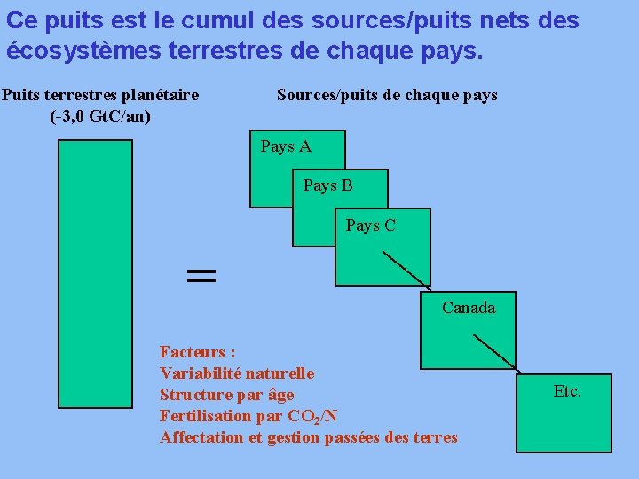 Ce puits est le cumul des sources/puits nets des écosystèmes terrestres de chaque pays.