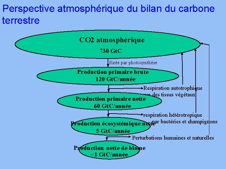 Perspective atmosphérique du bilan du carbone terrestre CO 2 atmosphérique 730 Gt. C fixée