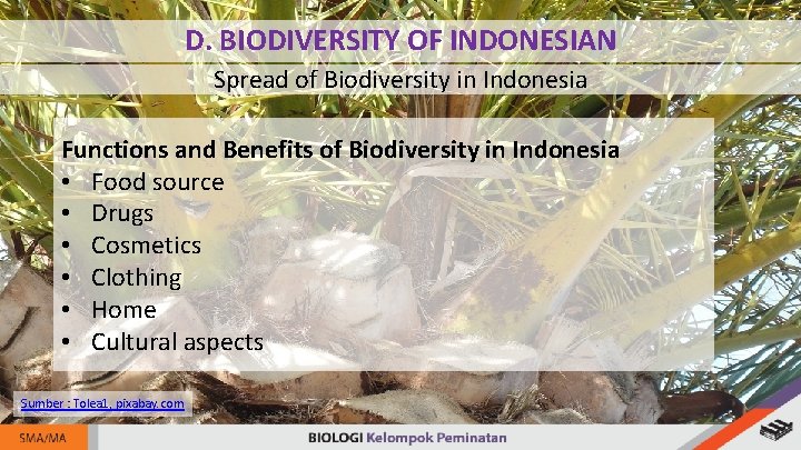 D. BIODIVERSITY OF INDONESIAN Spread of Biodiversity in Indonesia Functions and Benefits of Biodiversity