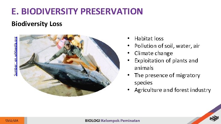 E. BIODIVERSITY PRESERVATION Sumber : en. wikipedia. org Biodiversity Loss Habitat loss Pollution of