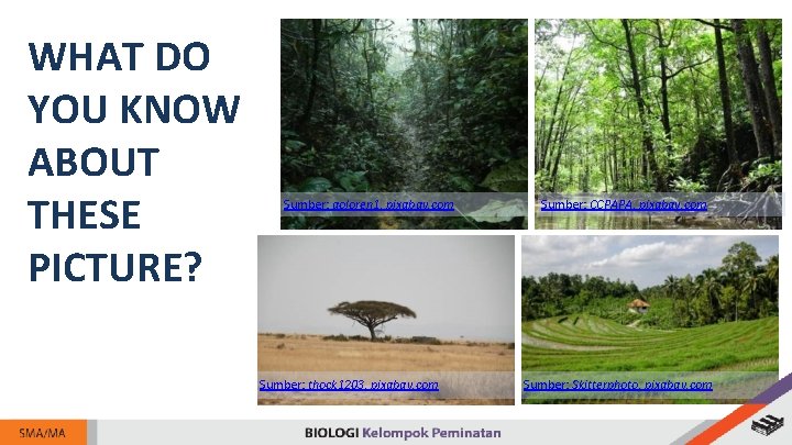 WHAT DO YOU KNOW ABOUT THESE PICTURE? Sumber: goloren 1, pixabay. com Sumber: thock