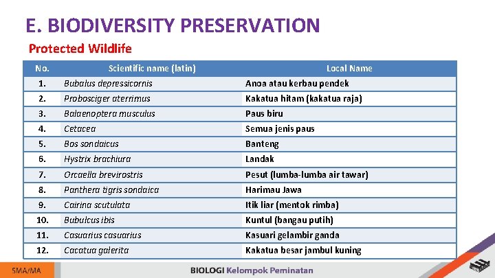 E. BIODIVERSITY PRESERVATION Protected Wildlife No. Scientific name (latin) Local Name 1. Bubalus depressicornis