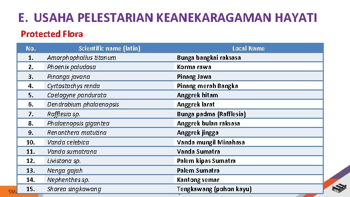 E. USAHA PELESTARIAN KEANEKARAGAMAN HAYATI Protected Flora No. 1. 2. 3. 4. 5. 6.