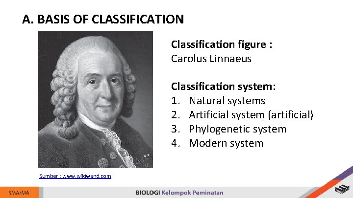 A. BASIS OF CLASSIFICATION Classification figure : Carolus Linnaeus Classification system: 1. Natural systems