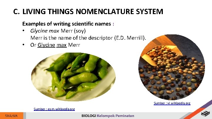 C. LIVING THINGS NOMENCLATURE SYSTEM Examples of writing scientific names : • Glycine max