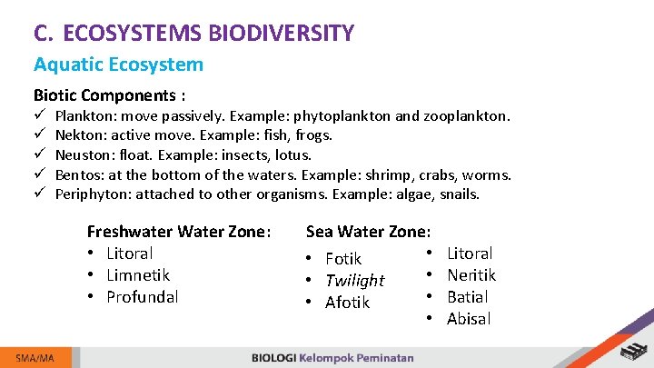 C. ECOSYSTEMS BIODIVERSITY Aquatic Ecosystem Biotic Components : ü ü ü Plankton: move passively.