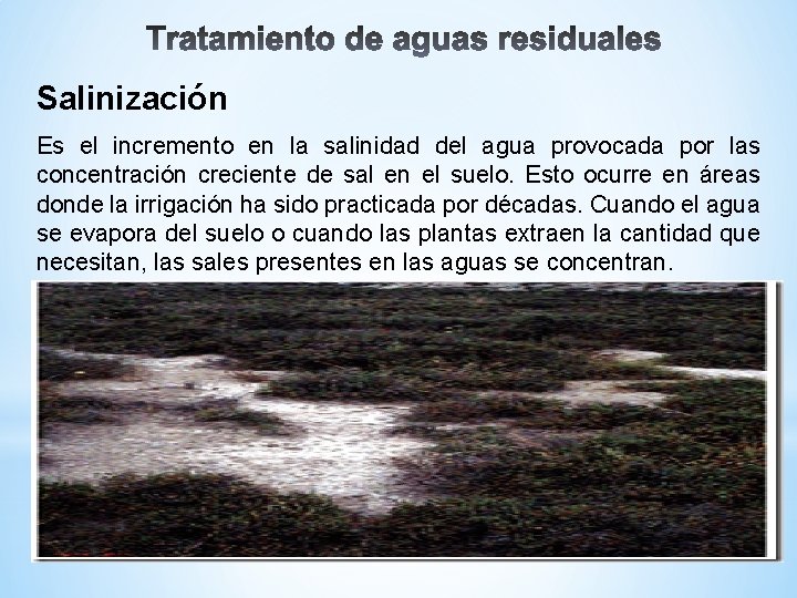 Salinización Es el incremento en la salinidad del agua provocada por las concentración creciente