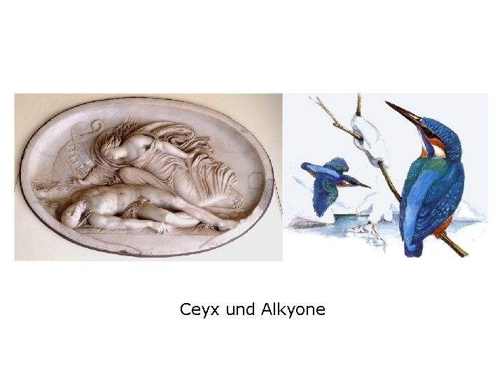 Ceyx und Alkyone 