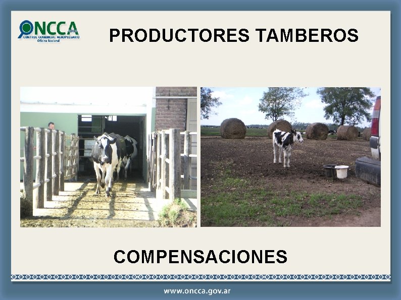 PRODUCTORES TAMBEROS COMPENSACIONES 