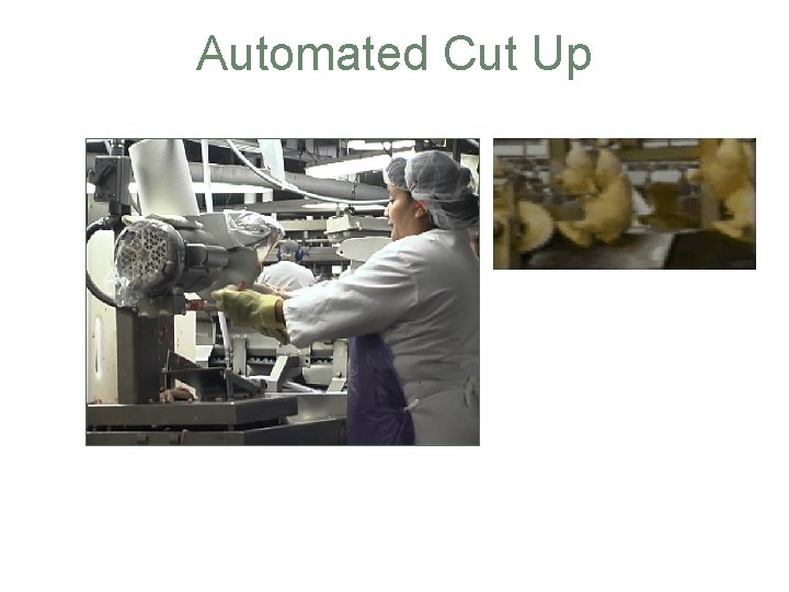 Automated Cut Up 