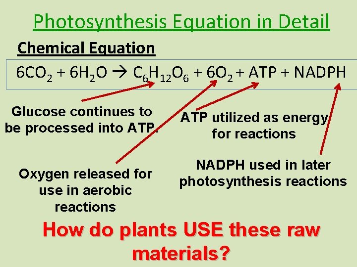 Photosynthesis Equation in Detail Chemical Equation 6 CO 2 + 6 H 2 O