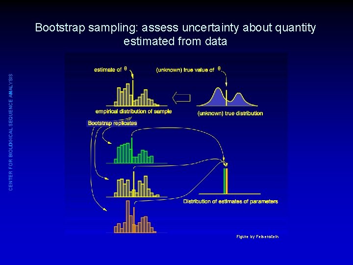 CENTER FOR BIOLOGICAL SEQUENCE ANALYSIS Bootstrap sampling: assess uncertainty about quantity estimated from data