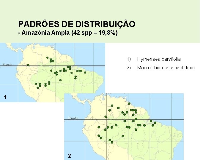 PADRÕES DE DISTRIBUIÇÃO - Amazônia Ampla (42 spp – 19, 8%) 1 2 1)