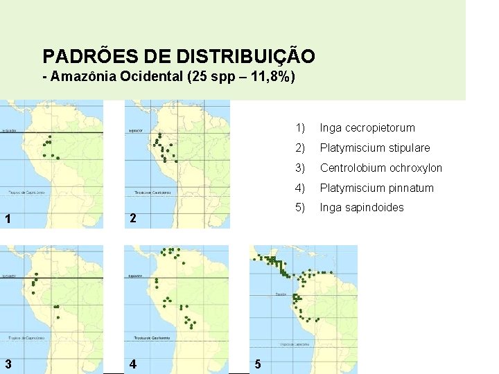 PADRÕES DE DISTRIBUIÇÃO - Amazônia Ocidental (25 spp – 11, 8%) 1 2 4
