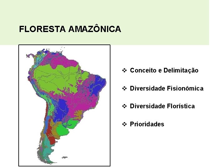 FLORESTA AMAZÔNICA v Conceito e Delimitação v Diversidade Fisionômica v Diversidade Florística v Prioridades