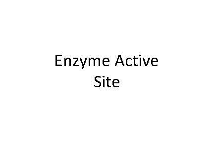 Enzyme Active Site 