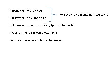 Apoenzyme: protein part Coenzyme: non-protein part Holoenzyme = apoenzyme + coenzyme Holoenzyme: enzyme requiring