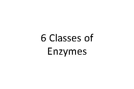6 Classes of Enzymes 