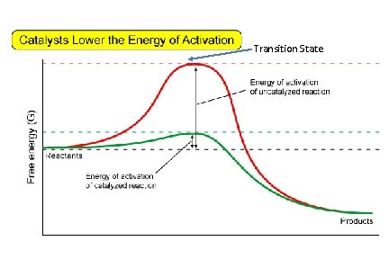 Transition State 