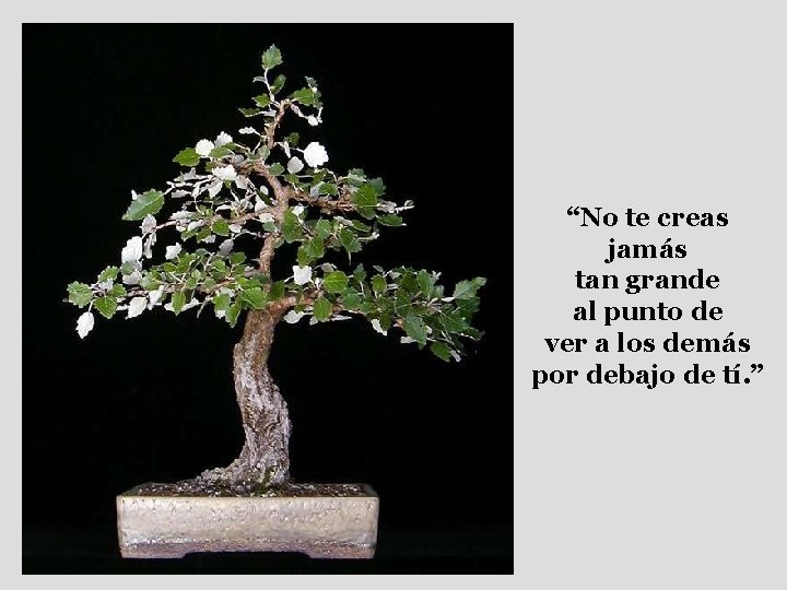 “No te creas jamás tan grande al punto de ver a los demás por
