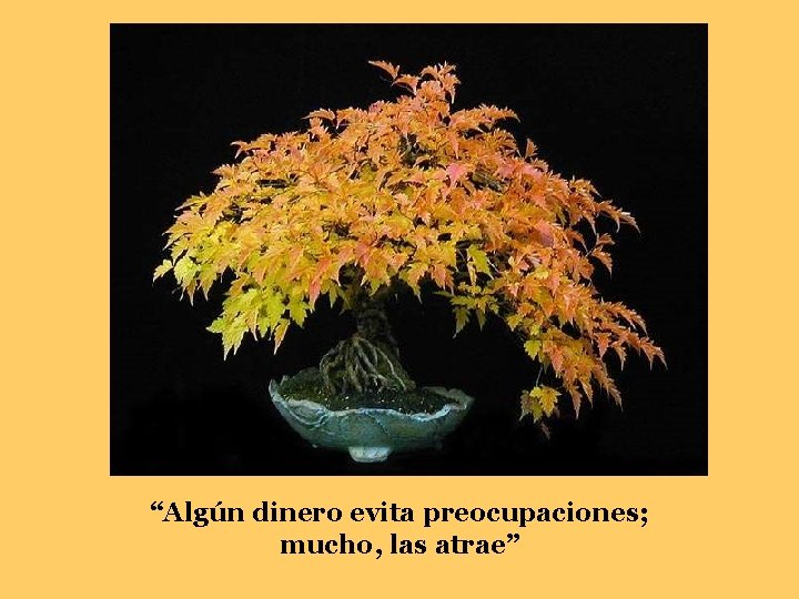 “Algún dinero evita preocupaciones; mucho, las atrae” 