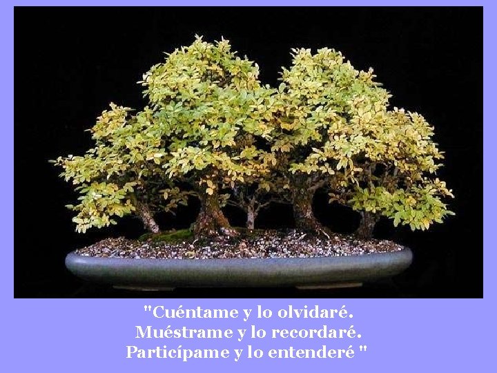 "Cuéntame y lo olvidaré. Muéstrame y lo recordaré. Particípame y lo entenderé " 