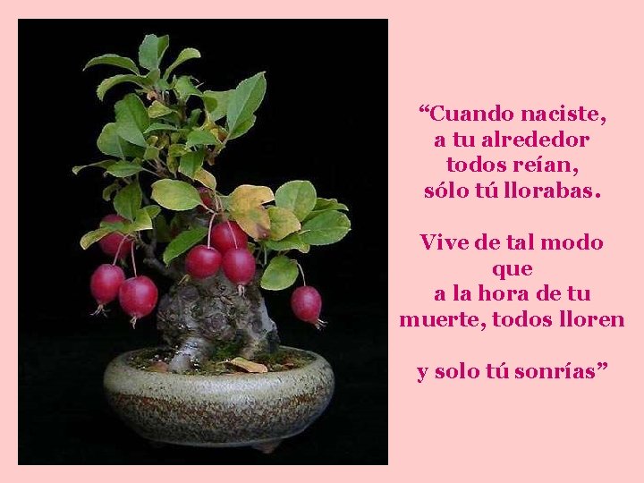 “Cuando naciste, a tu alrededor todos reían, sólo tú llorabas. Vive de tal modo