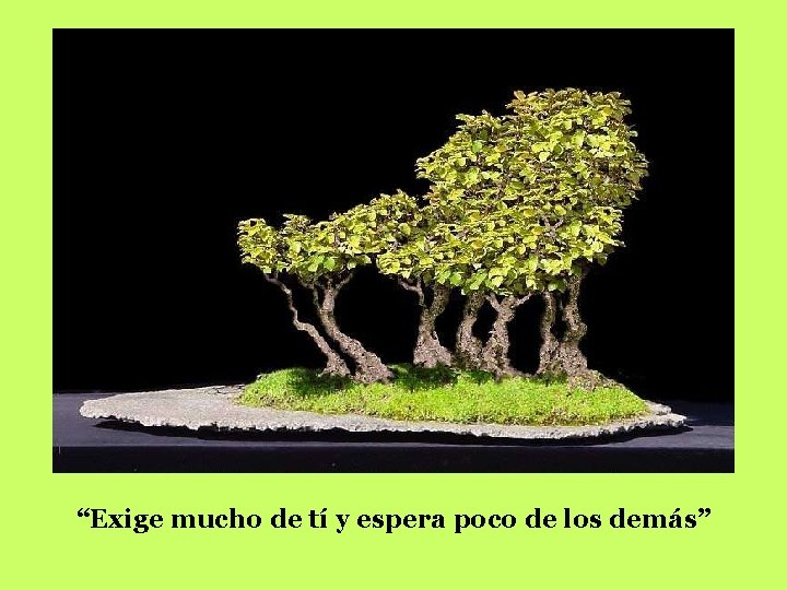 “Exige mucho de tí y espera poco de los demás” 