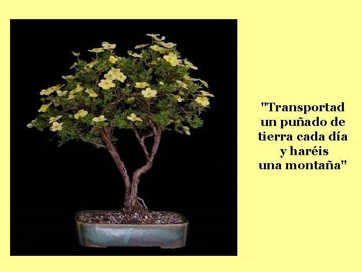 "Transportad un puñado de tierra cada día y haréis una montaña" 