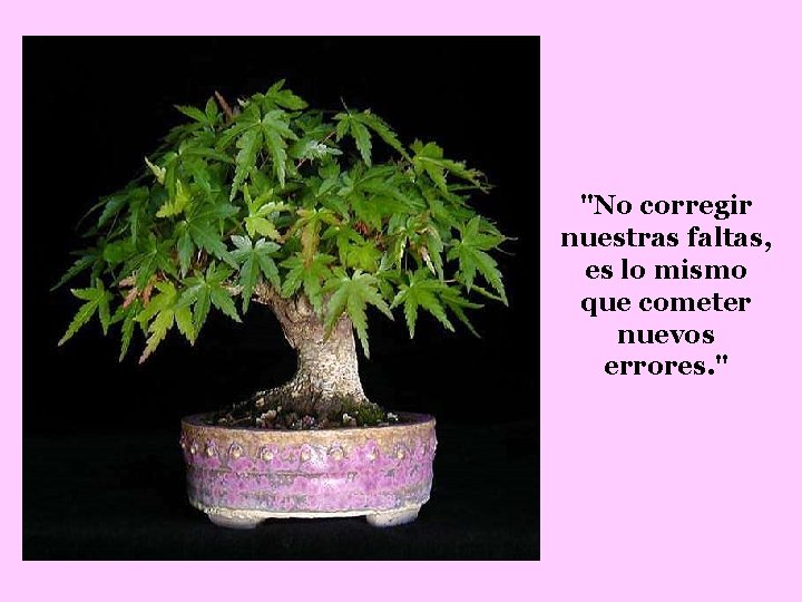 "No corregir nuestras faltas, es lo mismo que cometer nuevos errores. " 